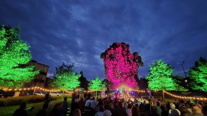 "Koncert pod Lipą" RANKO UKULELE