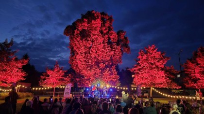 "Koncert pod Lipą" RANKO UKULELE