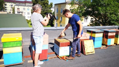 Pszczoły na dachu BCK, Pasieka Paweł Klucha